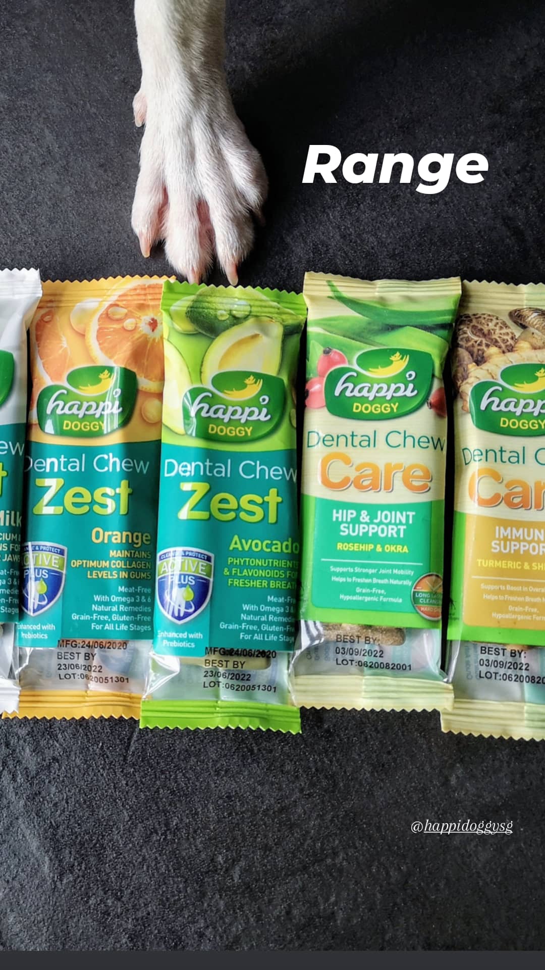 Zest Strawberry review from Darcy - Happi Doggy